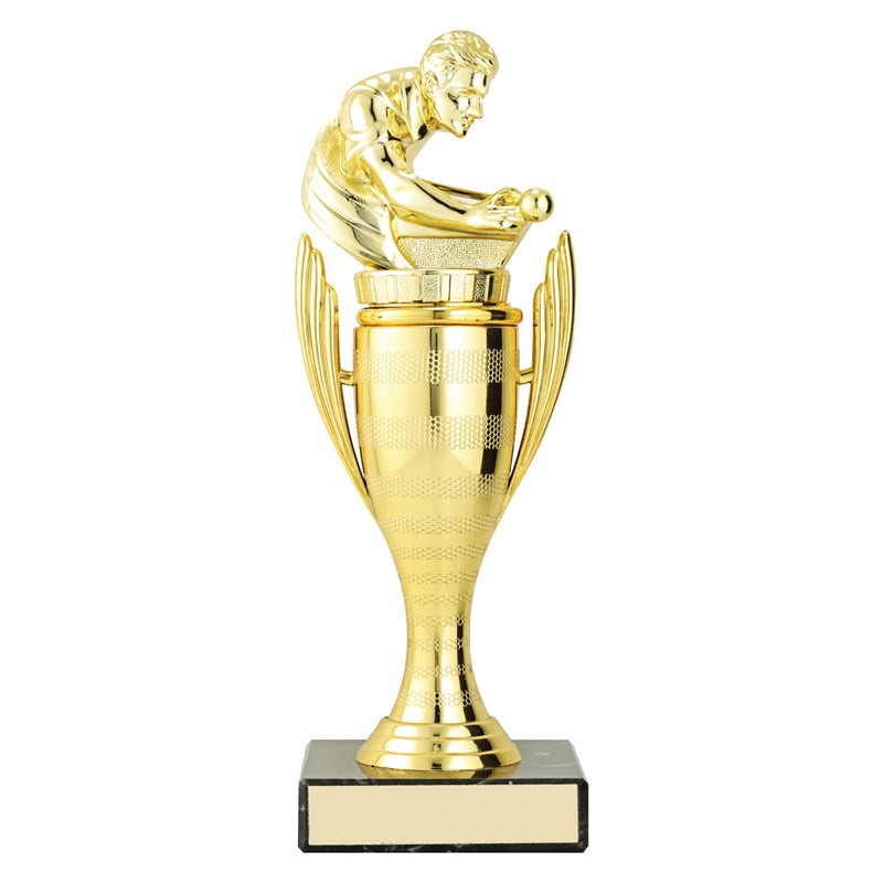 Guardian Cups