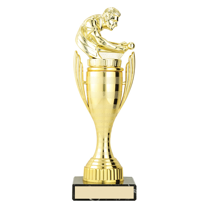 Guardian Cups