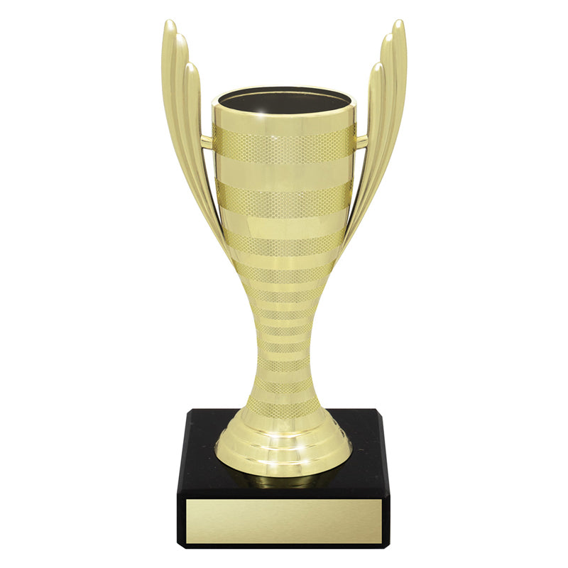 Guardian Cups