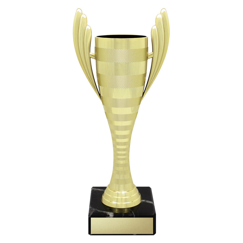 Guardian Cups