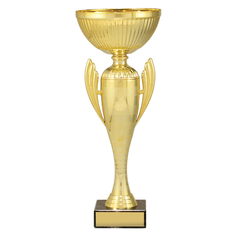 Guardian Cup