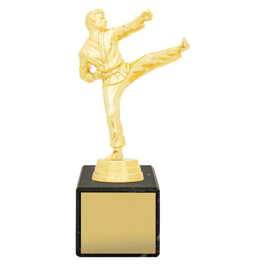 Marble Column - Male Karate