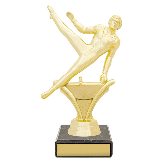 Figure Trophy - Male Gym