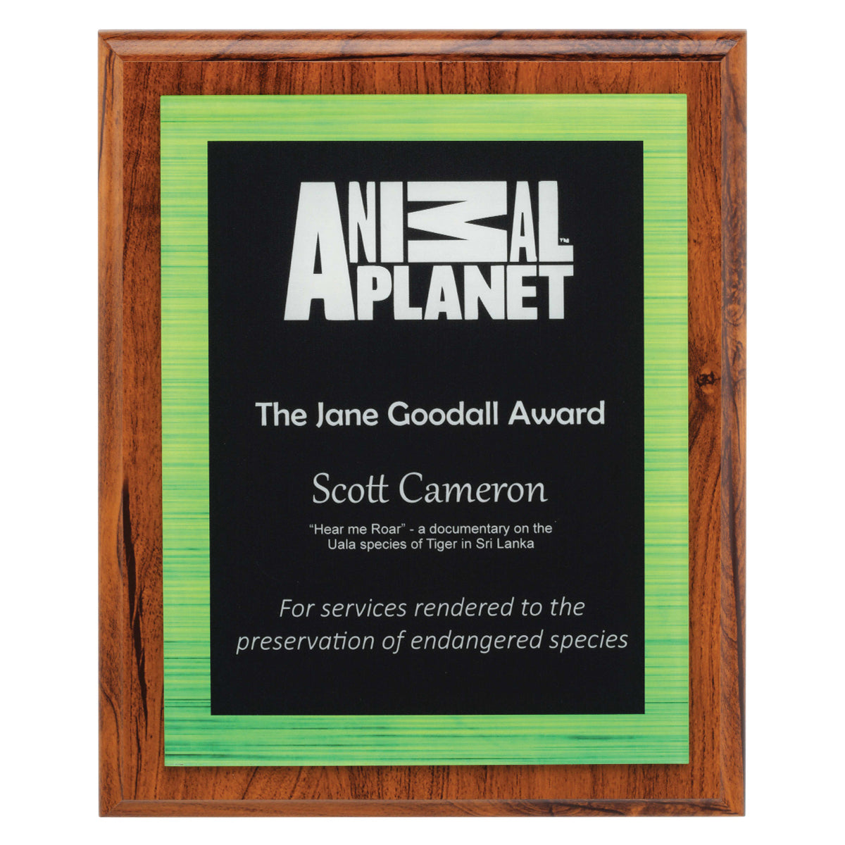 Vivid Plaque on Timber