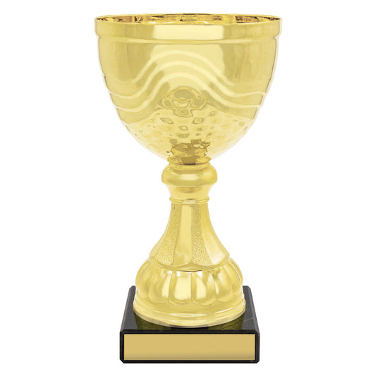 Community Cup
