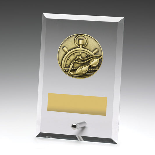 Glass Plaques - Swim
