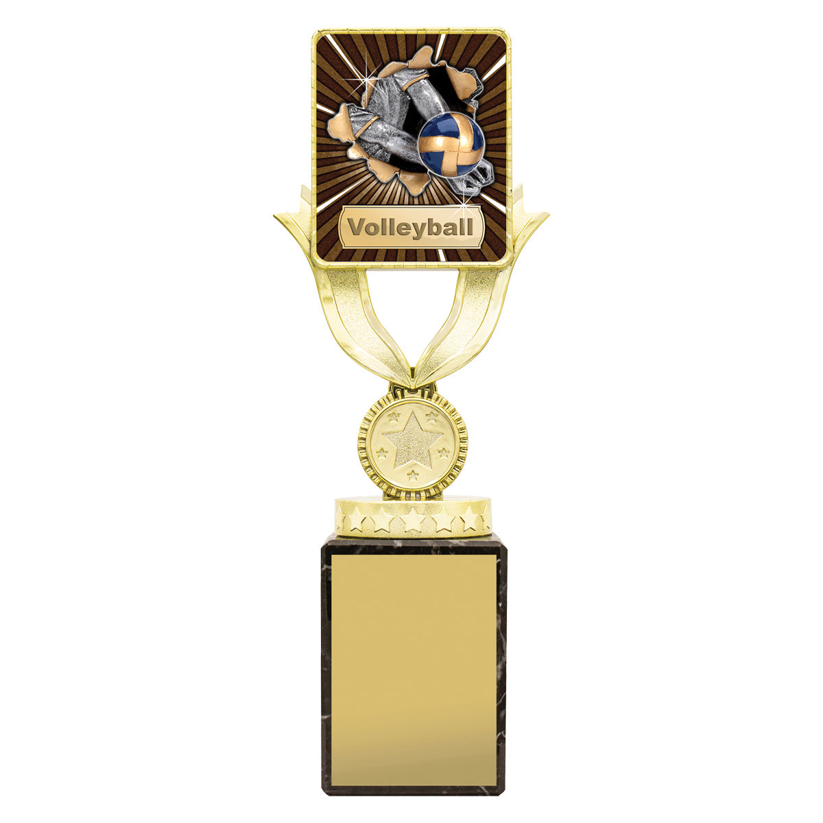 Lynx Sentry - Volleyball