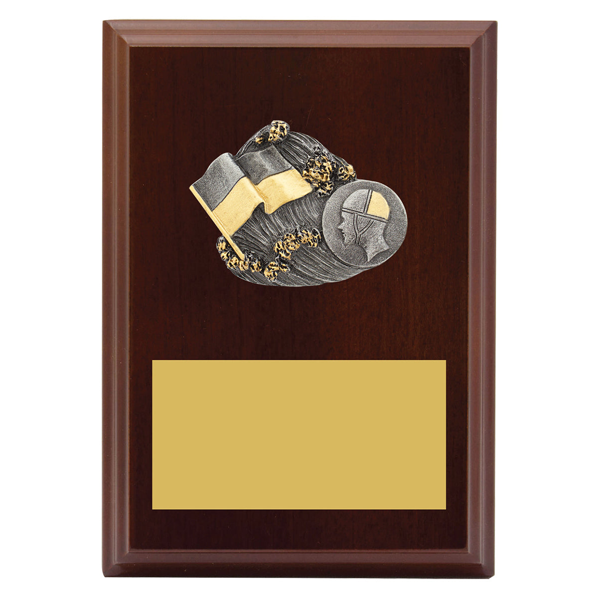 Peak Plaque Lifesaving