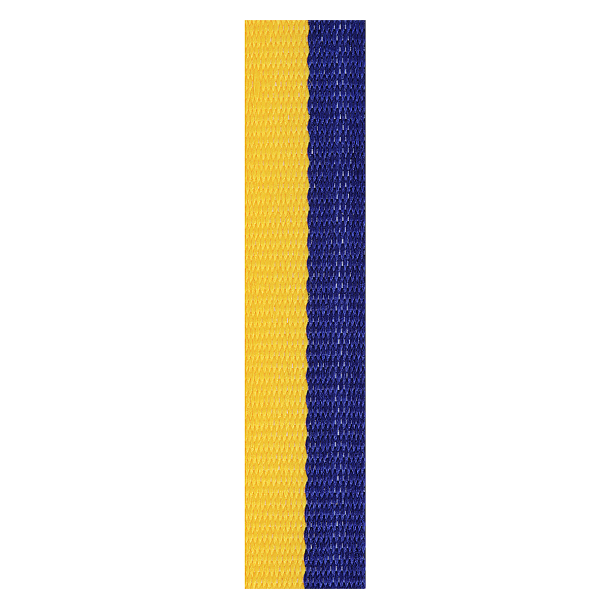 Blue / Gold Loop Rib
