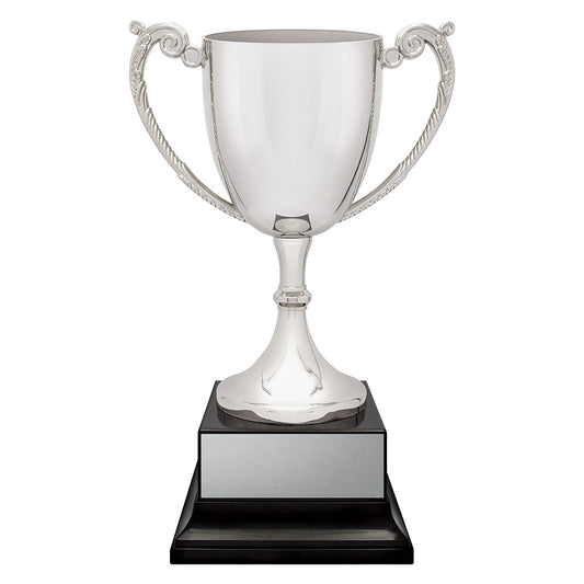 Provenance Cup