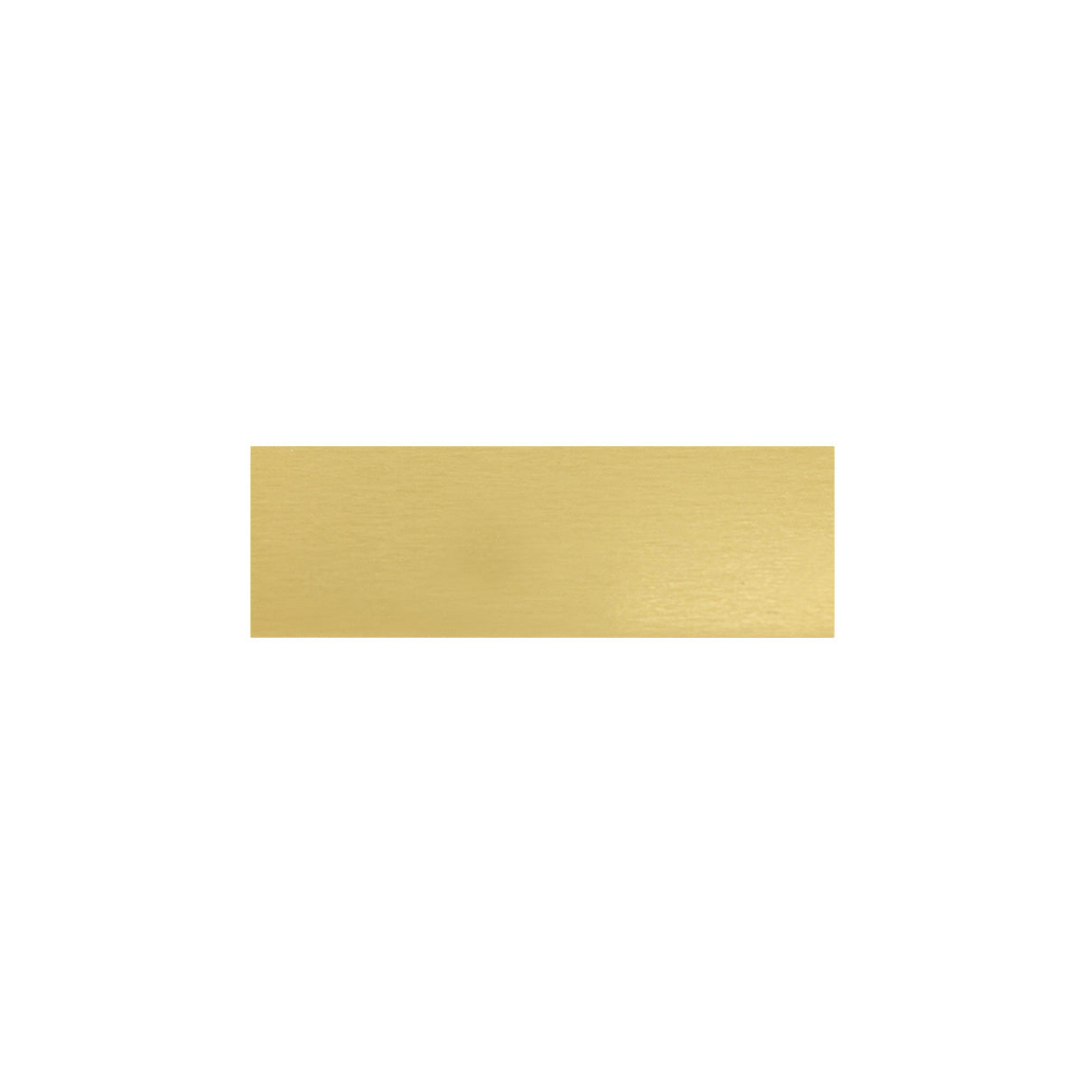Trophy Plate - 46x15mm