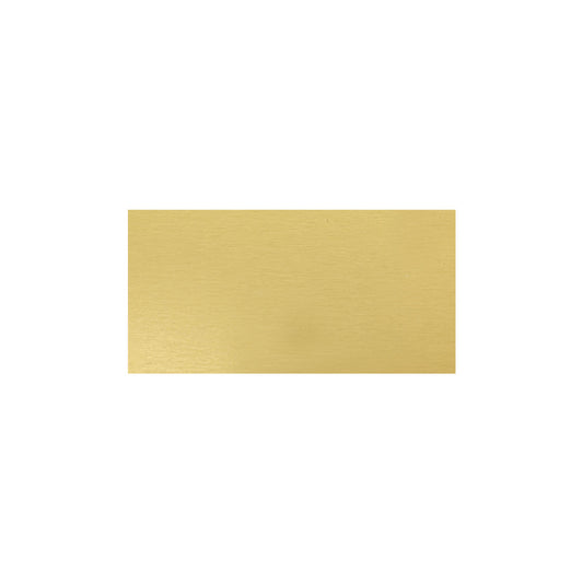 Trophy Plate - 48x24mm