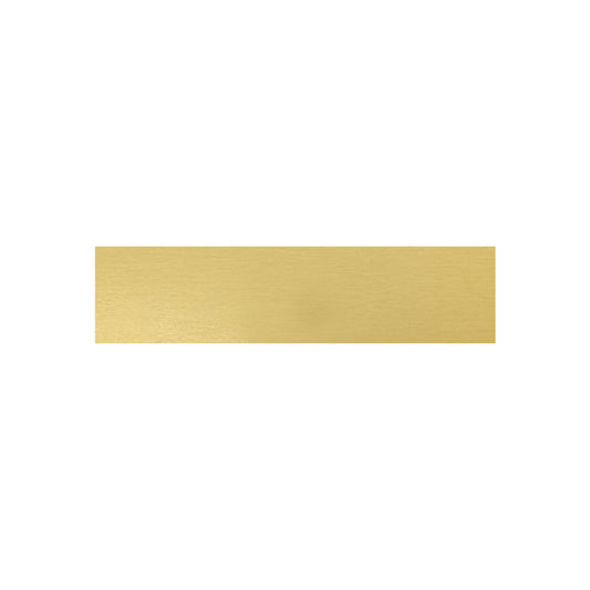 Trophy Plate - 58x14mm