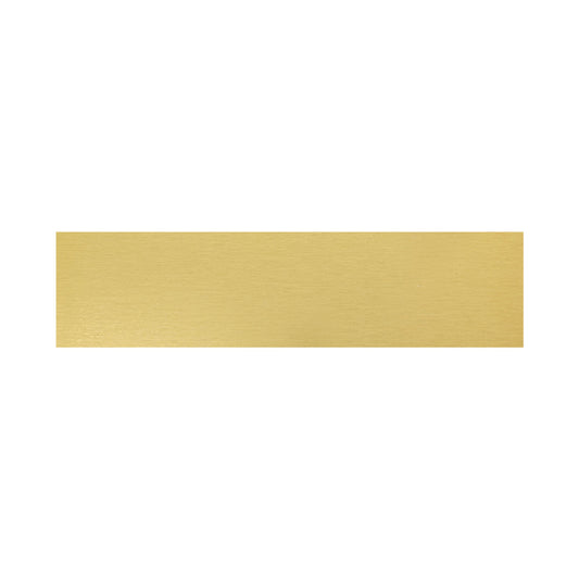 Trophy Plate - 69x17mm