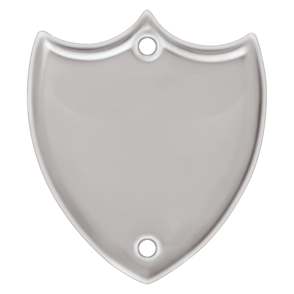Side Shield