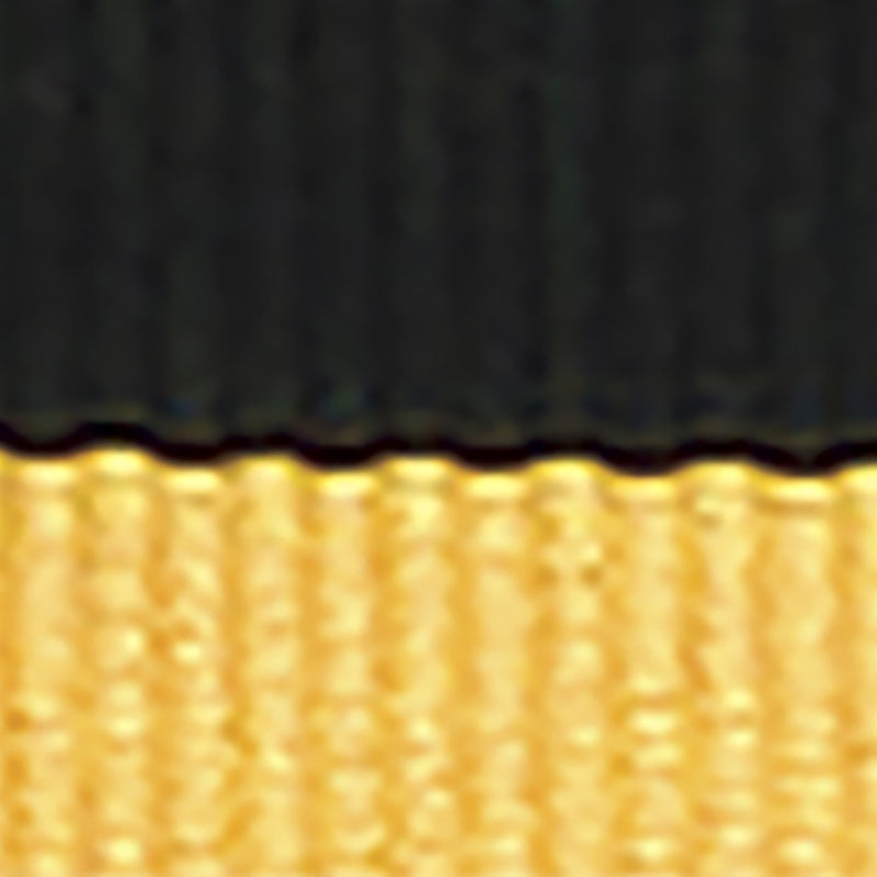 Black / Gold Ribbon