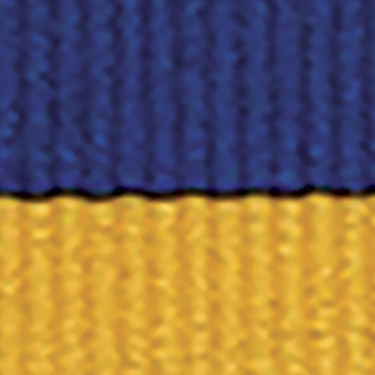 Blue / Gold Ribbon