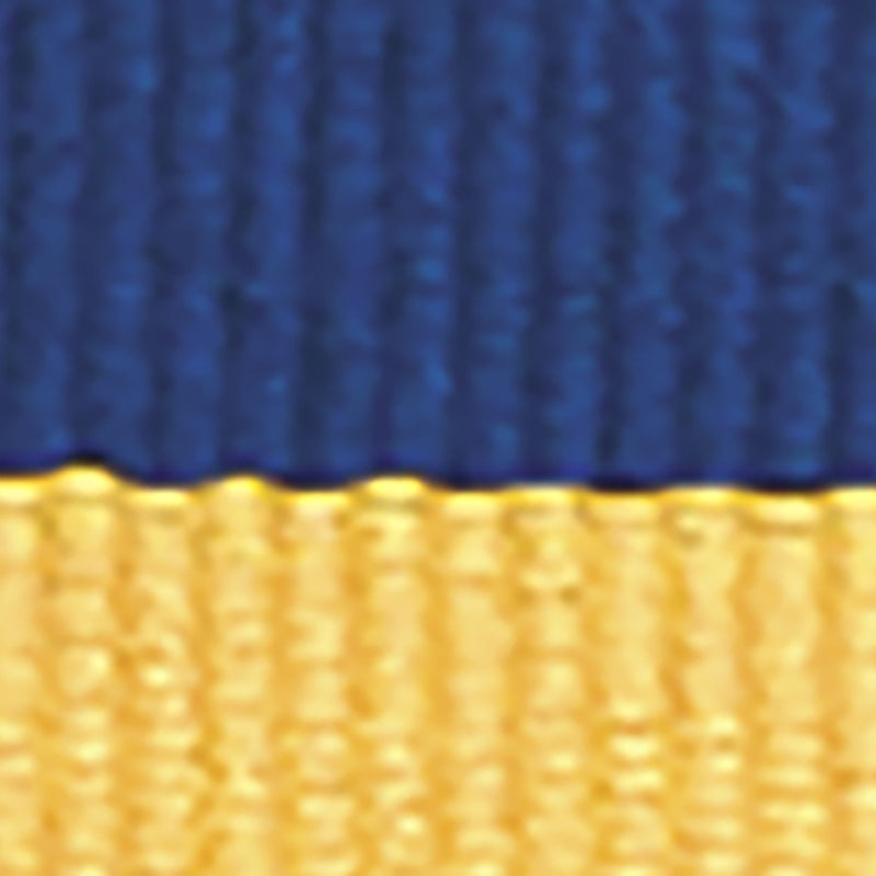 Blue / Yellow Ribbon