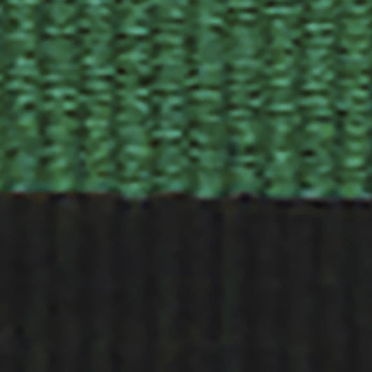 Green / Black Ribbon