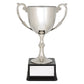 Recognition Cups