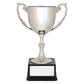 Recognition Cups