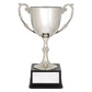 Recognition Cups