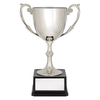 Recognition Cups