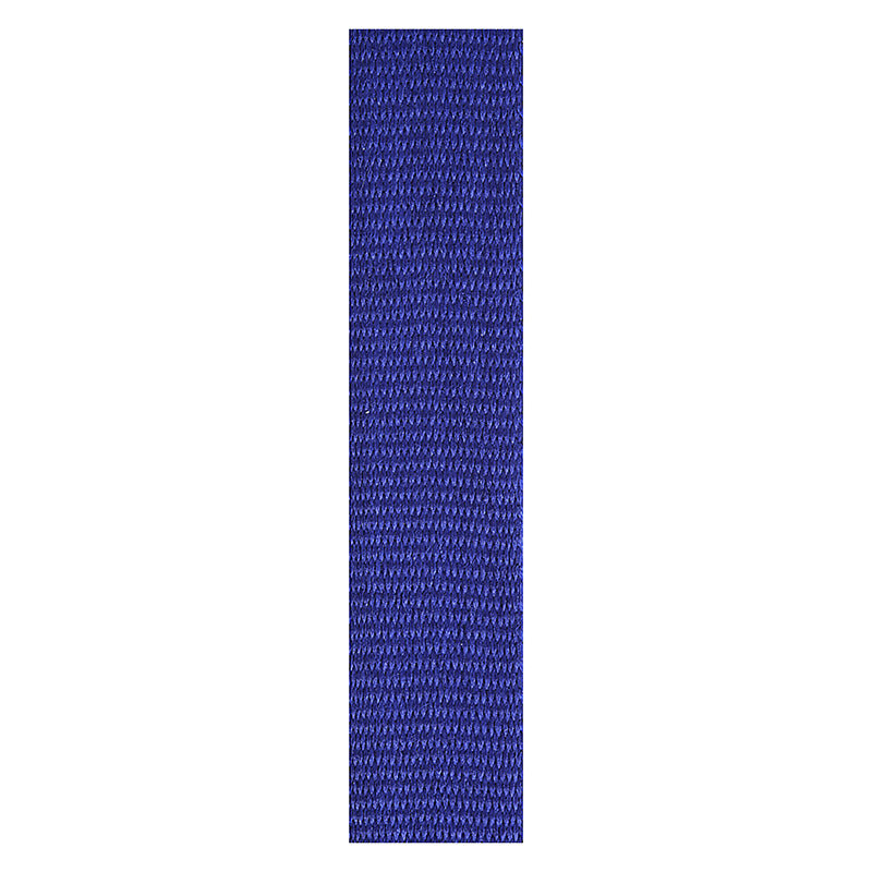Blue Loop Ribbon